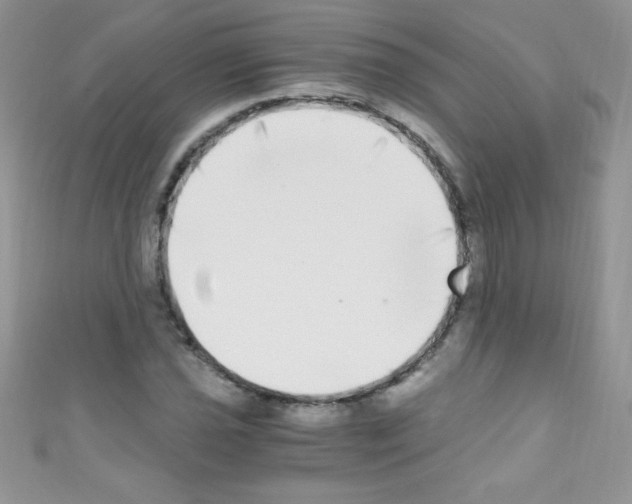 X0000110731021200907241223