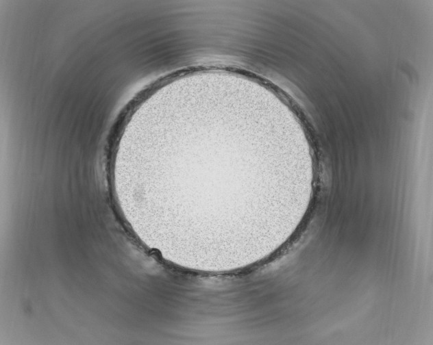 X0000110731022200907241223