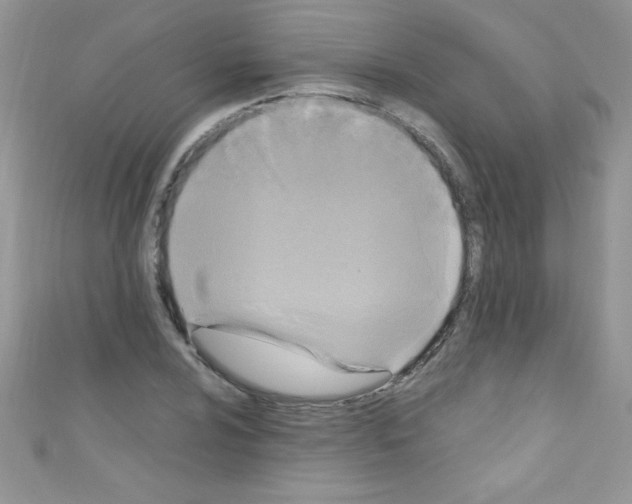 X0000110731024200907241223