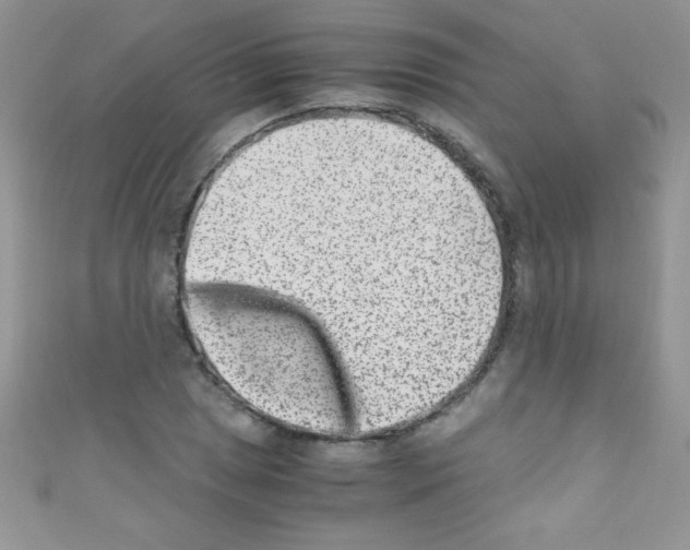X0000110731025200907241223
