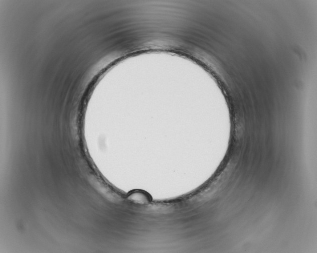 X0000110731026200907241223