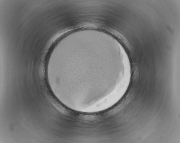 X0000110731027200907241223