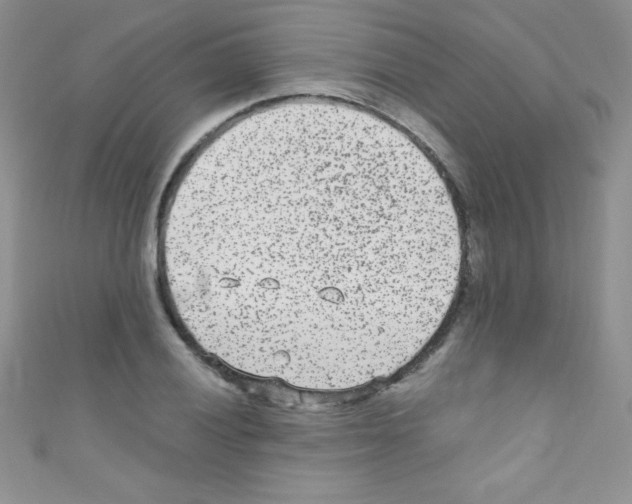 X0000110731028200907241223