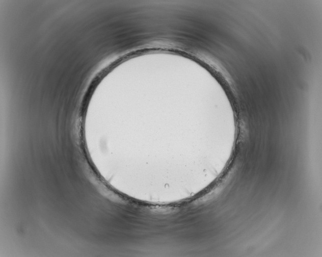 X0000110731029200907241223