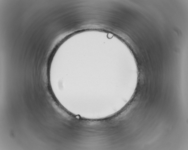 X0000110731030200907241223