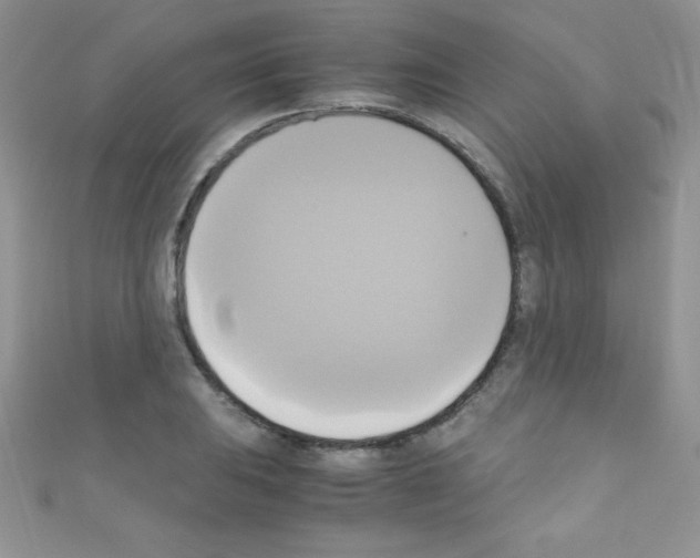 X0000110731031200907241223