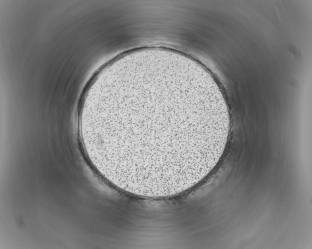 X0000110731032200907241223