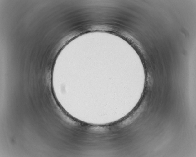 X0000110731033200907241223