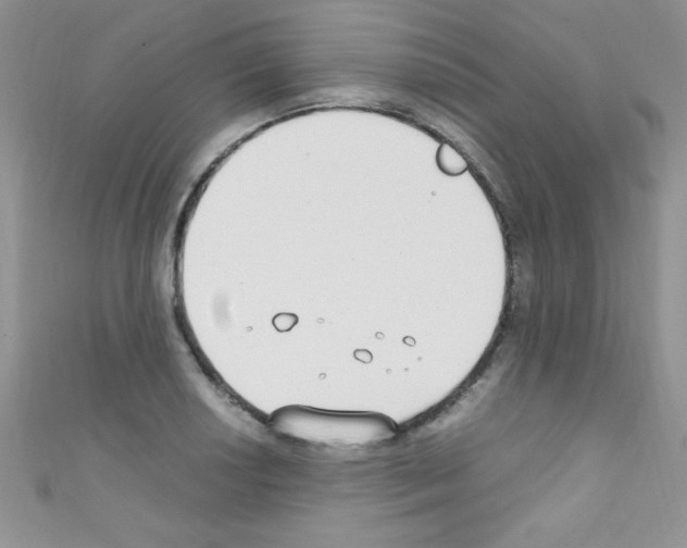 X0000110731034200907241223