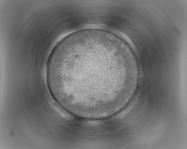 X0000110731035200907241223