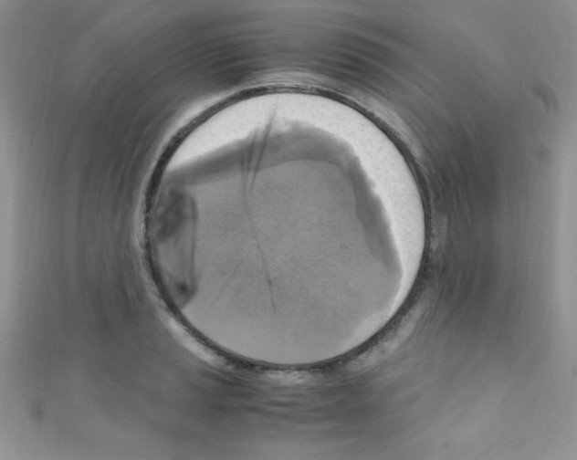 X0000110731037200907241223