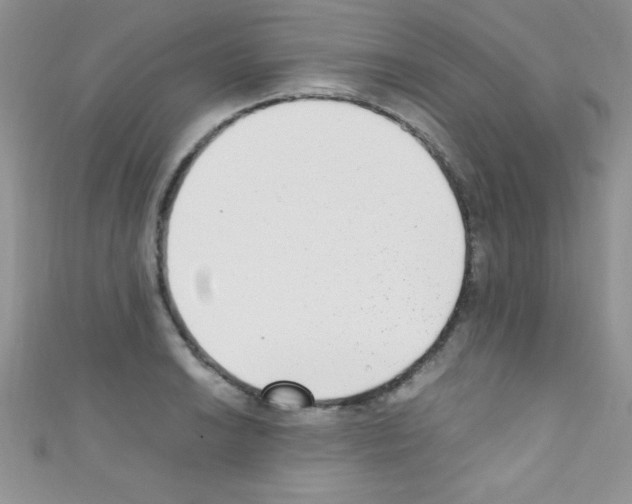 X0000110731038200907241223