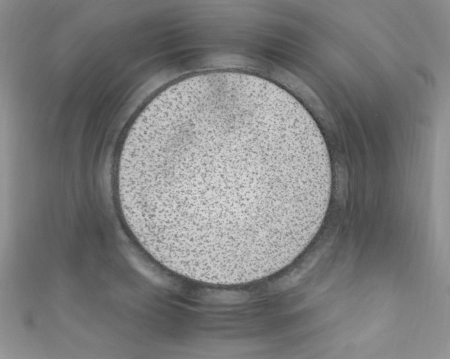 X0000110731039200907241223