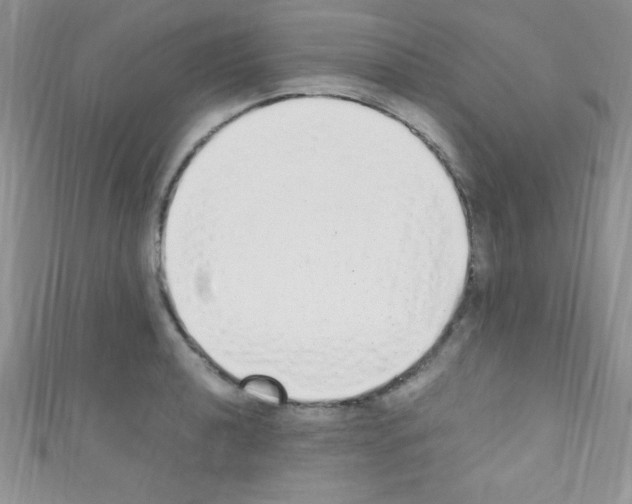 X0000110731040200907241223