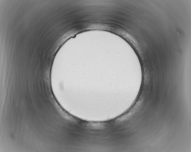 X0000110731041200907241223