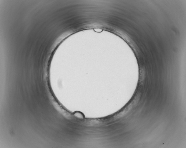 X0000110731042200907241223