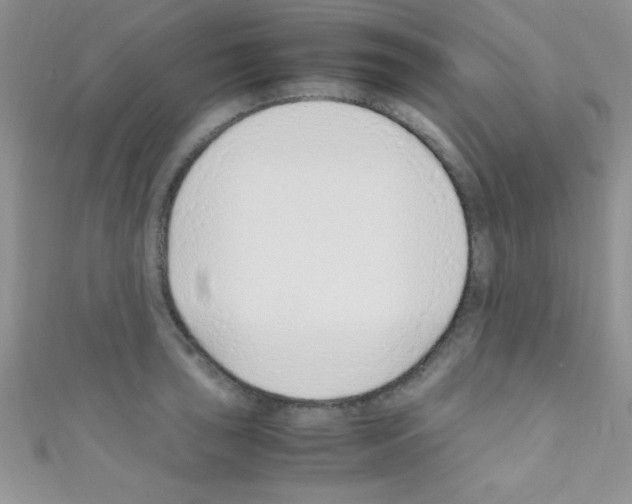 X0000110731043200907241223