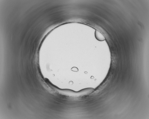 X0000110731044200907241223