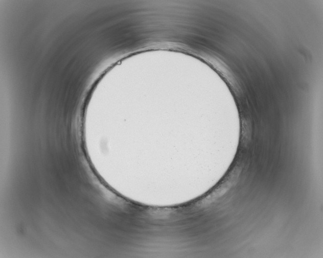 X0000110731046200907241223