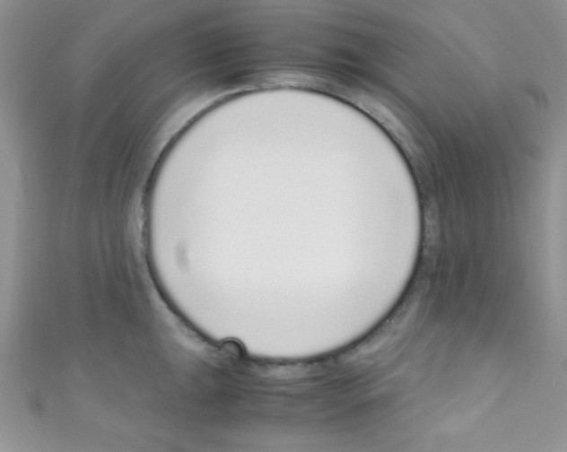 X0000110731047200907241223