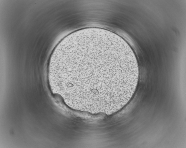 X0000110731048200907241223