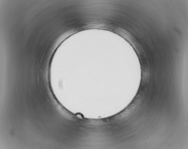 X0000110731050200907241223