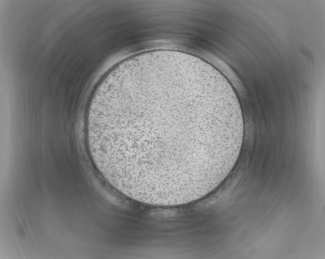 X0000110731051200907241223