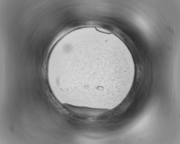 X0000110731052200907241223