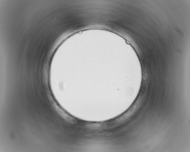 X0000110731054200907241223
