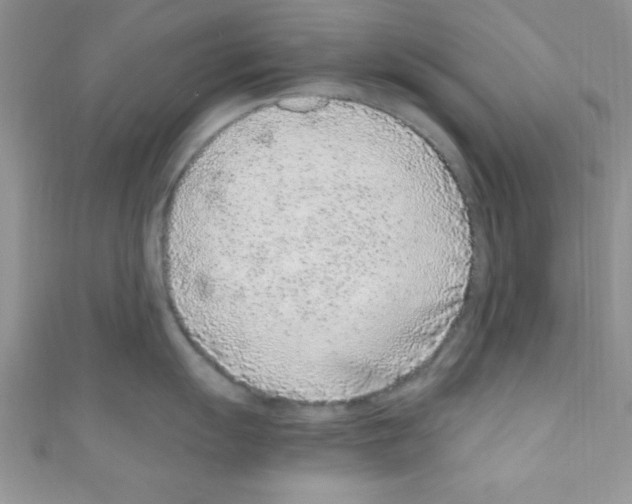 X0000110731055200907241223