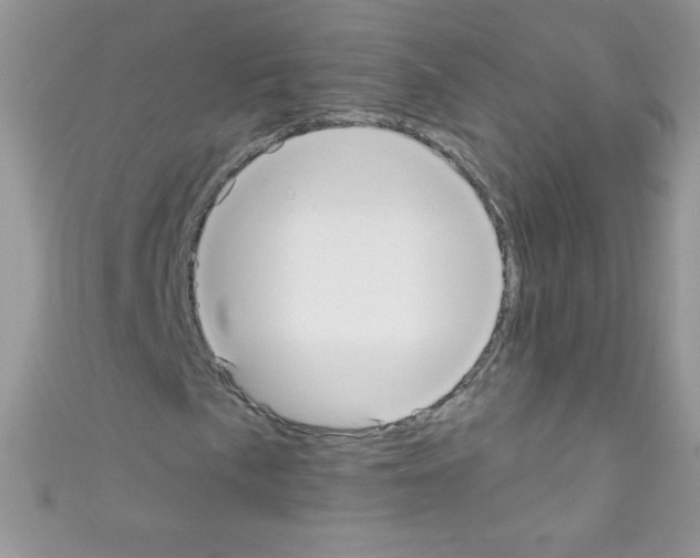 X0000110731057200907241223