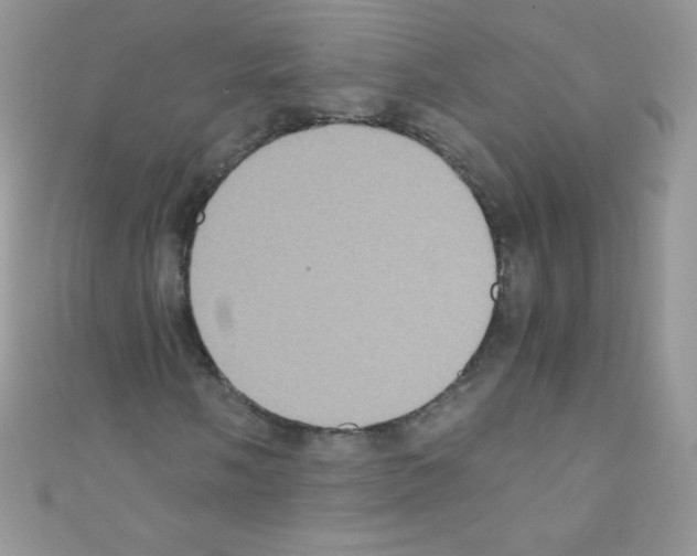 X0000110731058200907241223