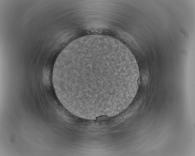 X0000110731060200907241223