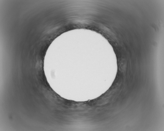 X0000110731061200907241223