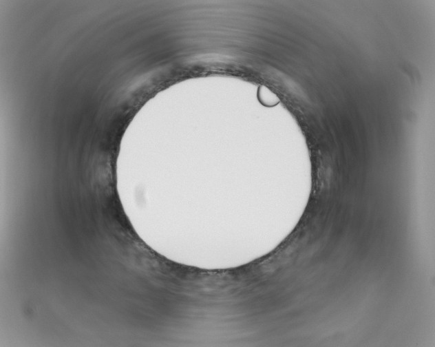 X0000110731062200907241223