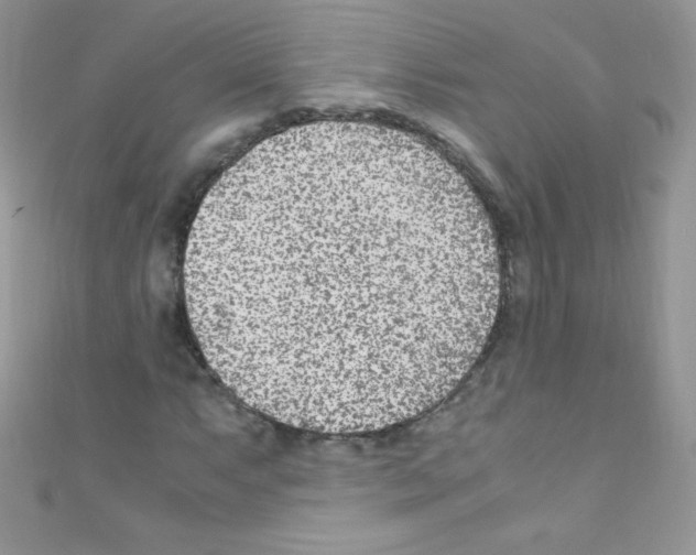 X0000110731063200907241223