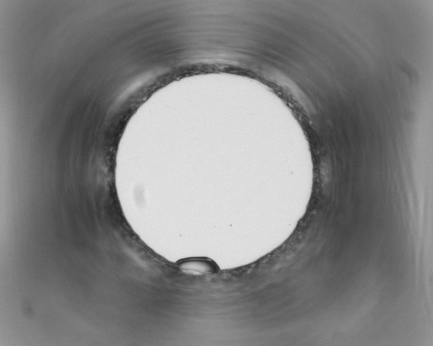 X0000110731064200907241223