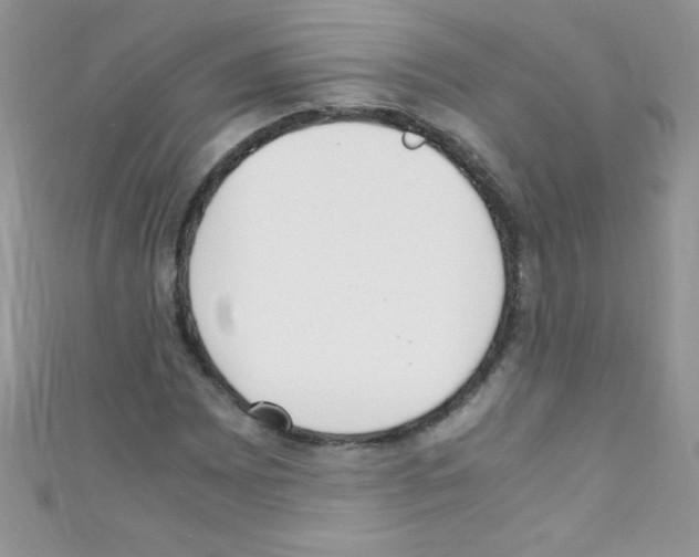 X0000110731065200907241223