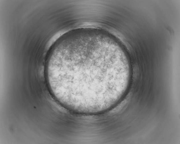 X0000110731066200907241223