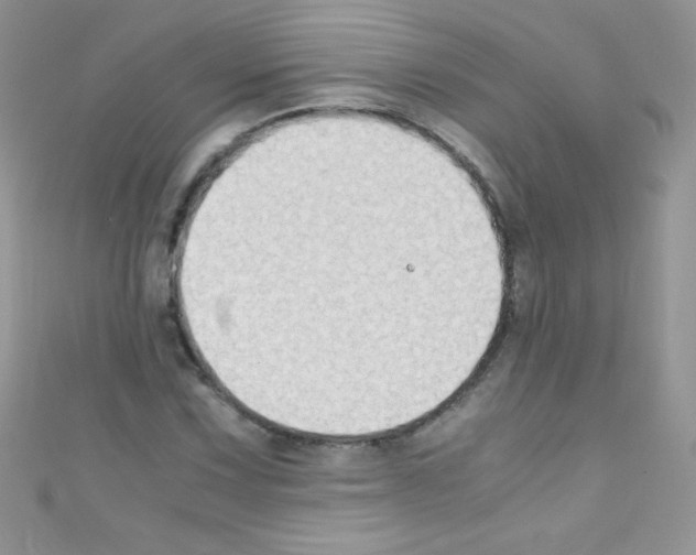 X0000110731067200907241223