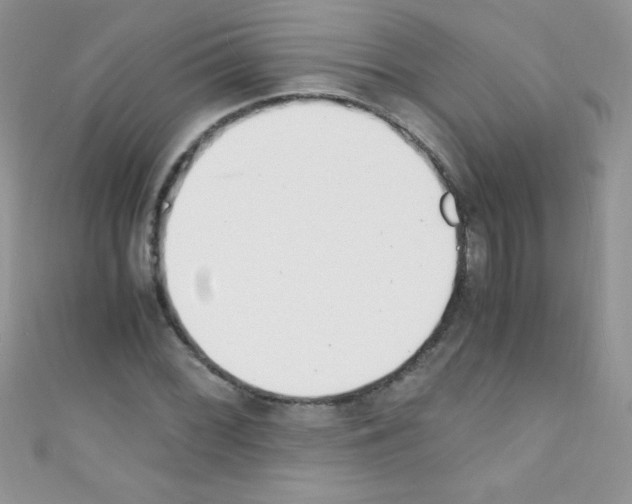 X0000110731068200907241223