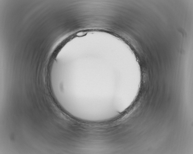 X0000110731069200907241223