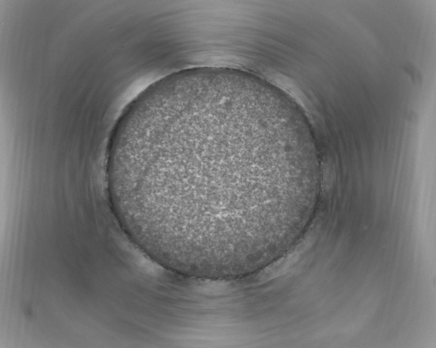X0000110731071200907241223