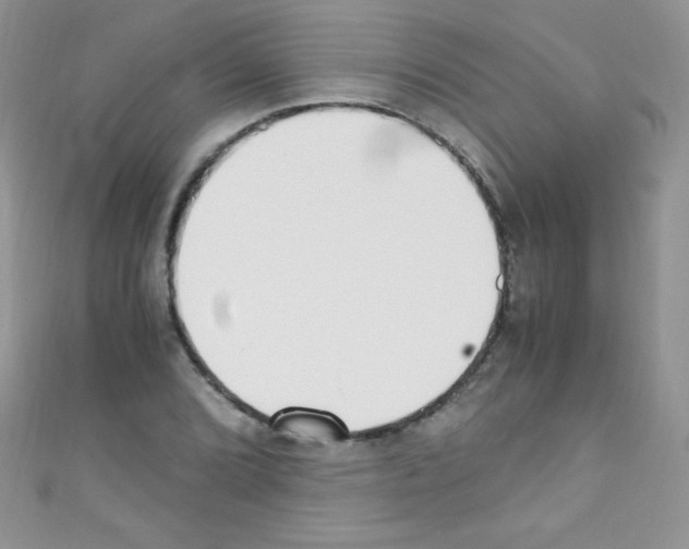 X0000110731072200907241223