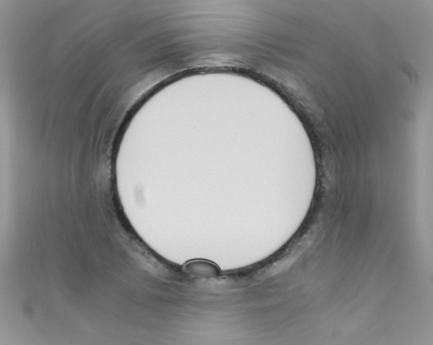 X0000110731073200907241223