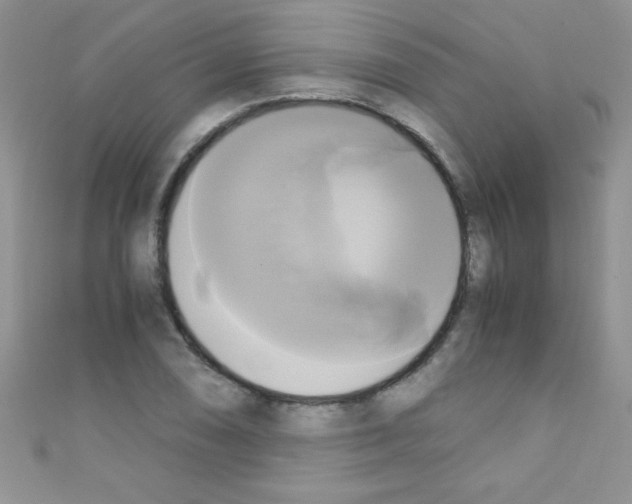X0000110731074200907241223