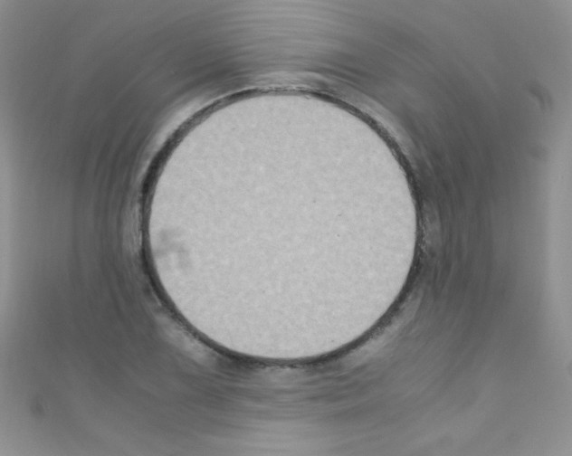 X0000110731075200907241223
