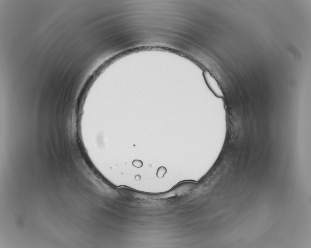 X0000110731076200907241223