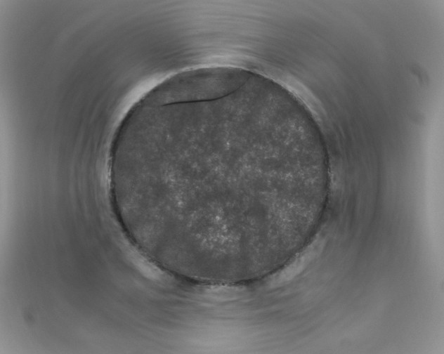 X0000110731077200907241223