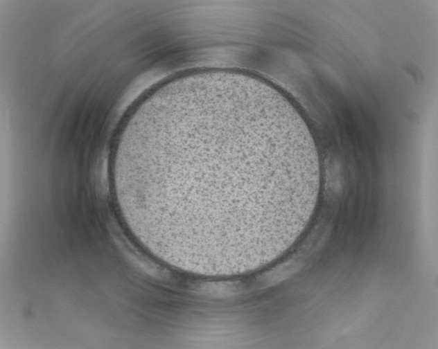X0000110731078200907241223